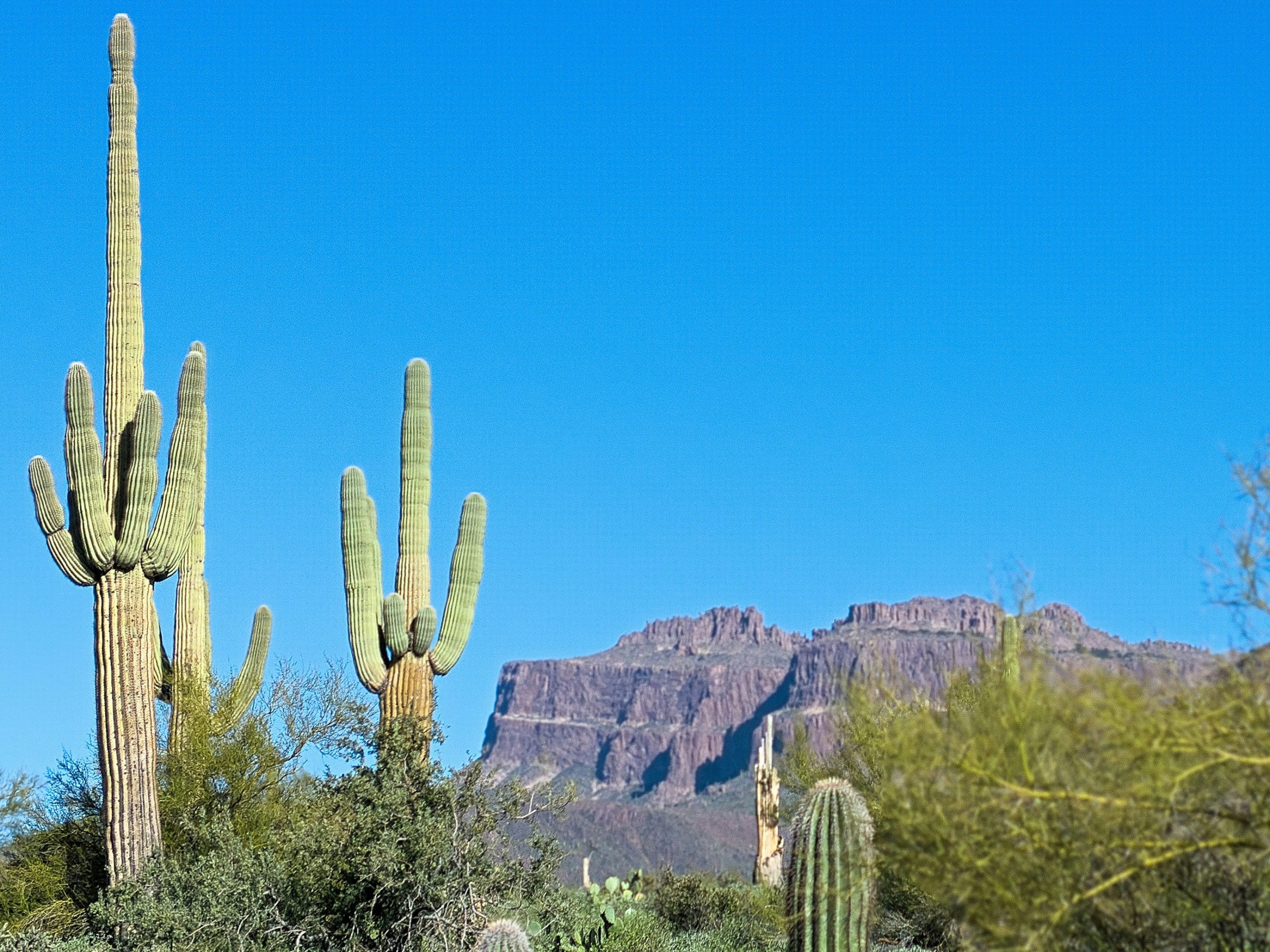 Top 5 Arizona Snowbird Communities